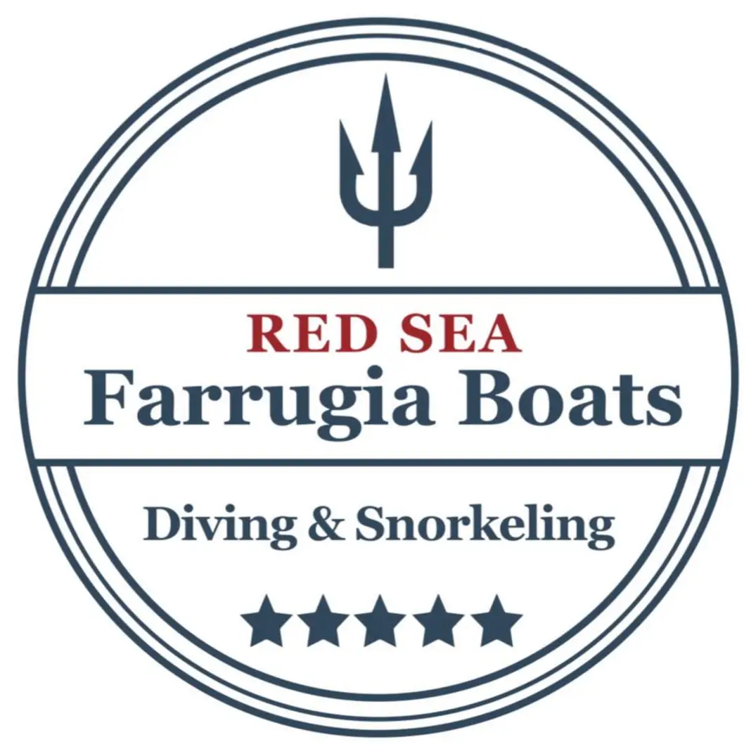 Farrugia Boats – Schnorcheln, Angeltouren & relaxen